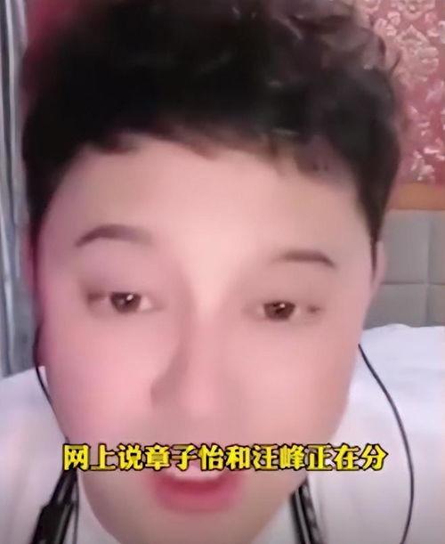 刘一飞直播爆料汪峰视频,揭秘背后惊人真相